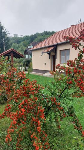 a house with red flowers in front of a yard at Faluvégi Vendégház in Cserépváralja