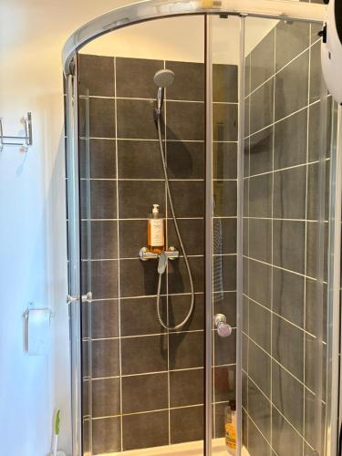 a shower in a bathroom with a glass door at Château de Thégra in Balma