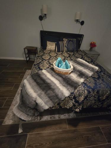 Gallery image of The Blue orlampa house in Lakeland