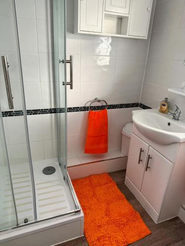 a bathroom with a shower and an orange rug at The Three bs in Scratby