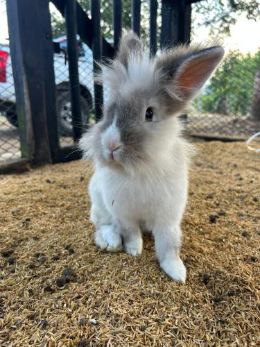 Afbeelding uit fotogalerij van Valle Verde Eco in Riofrío