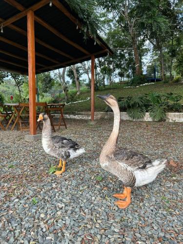 Afbeelding uit fotogalerij van Valle Verde Eco in Riofrío