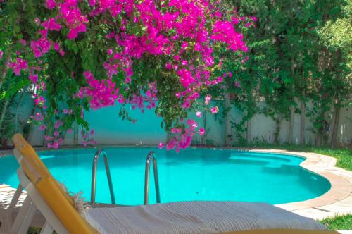 a swimming pool with pink flowers and a chair and a fence at Villa avec piscine privée in Potinville