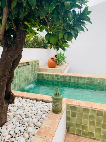 a pool with a tree next to a tree at Casa da Sé Renovated Traditional Townhouse with Courtyard in Silves