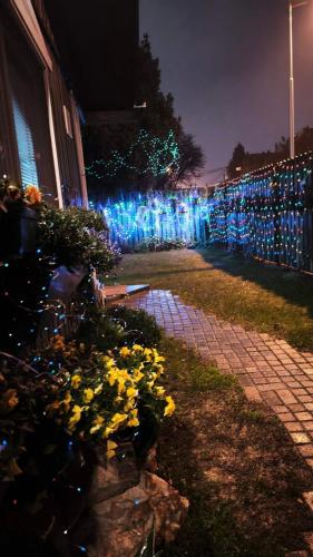 SOKO Guesthouse & Garden