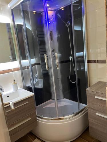 LE CORBIER Vue pistes Studio 5 personnes entièrement rénové في Villarembert: حمام مزود بدش ومغسلة