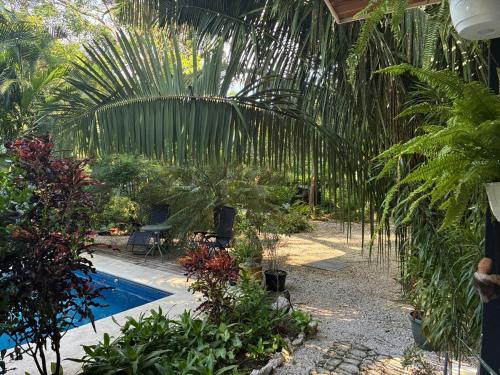 a garden with a swimming pool and palm trees at Casitas Escondidas in Playa Pelada