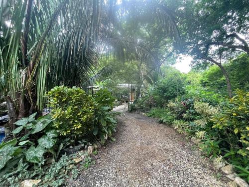 a path through a garden with plants and trees at Casitas Escondidas in Playa Pelada