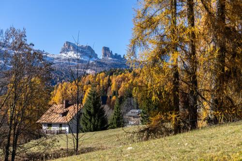 Naturlandskabet i nærheden af lejligheden