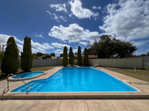 a swimming pool in a yard with cypress trees at Restawile Motel in Busselton