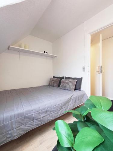 a bedroom with a bed and a plant at Charming 1-bedroom Apartment A in Hjørring