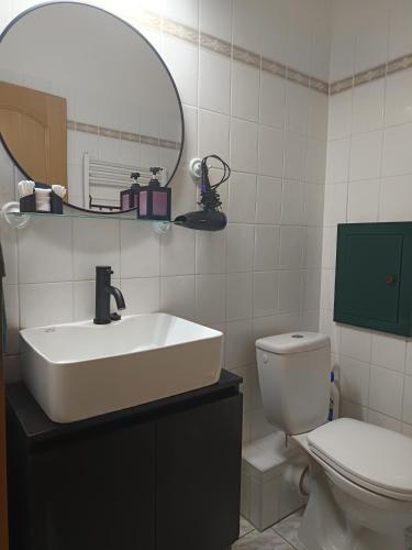 a bathroom with a sink and a toilet and a mirror at Apartmán 19 MEZONET in Jáchymov