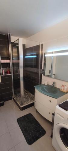 ein Badezimmer mit Dusche, Waschbecken und Spiegel in der Unterkunft Charmant 3 pieces 2 chambres et parking in Pontault-Combault