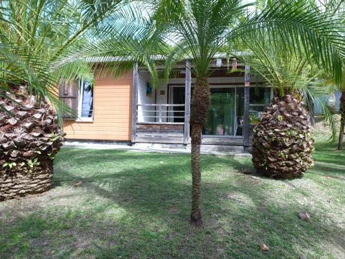 O grădină în afara Bungalow 36- Pointe Faula