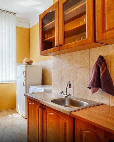 a kitchen with a sink and a refrigerator at Khreschatyk Suites in Kyiv