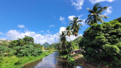 Příroda nedaleko prázdninového domu