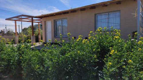 Κήπος έξω από το Apart Fincas de San Pablo II