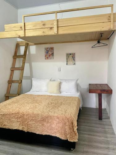 a bedroom with a bunk bed and a ladder at Casa Santa Rosa Garden in Santa Rosa de Cabal