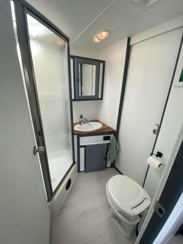 a small bathroom with a toilet and a sink at Clamping Caravan in Whanganui