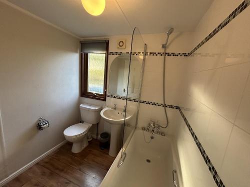 ein Badezimmer mit Toilette, Dusche und Waschbecken in der Unterkunft Athelington Lodge - Chestnut in Horham