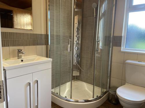 Field View 2 bed-No pets-Hornbeam في Horham: حمام مع دش ومغسلة ومرحاض