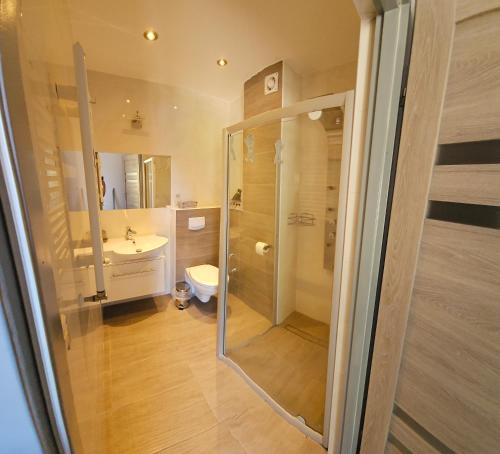 een badkamer met een douche, een toilet en een wastafel bij Szafirowy Zakątek in Karpacz