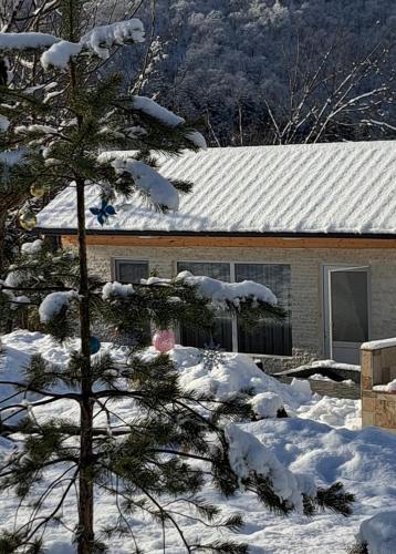 Φωτογραφία από το άλμπουμ του olya's garden σε Itʼkhvisi