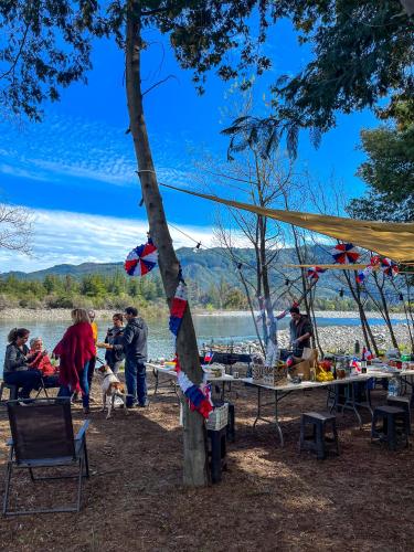 a group of people standing around a tree near a lake at NaboCamp in Linares