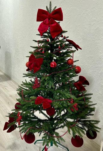 a green christmas tree with red bows on it at Зелений ретрит in Skole