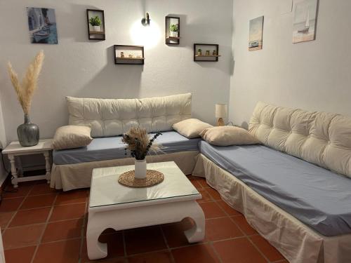 La esencia de Ana Toribia