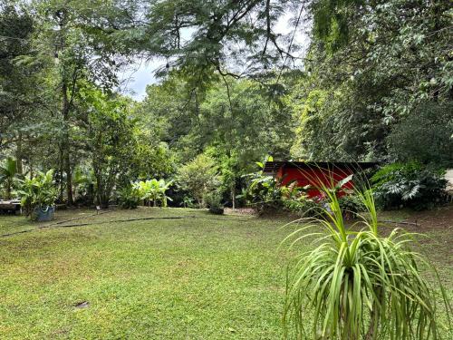 a garden with a red object in the grass at Casa Mas in Escobal