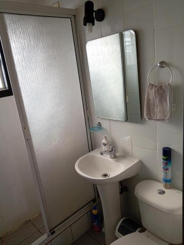 a bathroom with a sink and a mirror and a toilet at Entre lagos Departamento in Puyehue