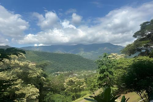 Příroda nedaleko prázdninového domu