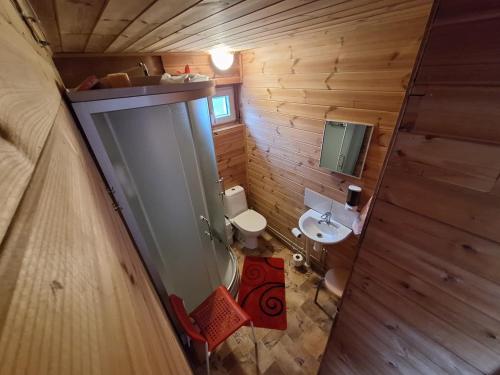 Koupelna v ubytování Toma pirts MAZĀ