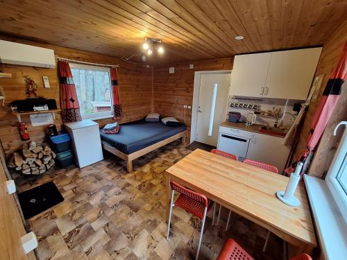 Kuchyň nebo kuchyňský kout v ubytování Toma pirts MAZĀ