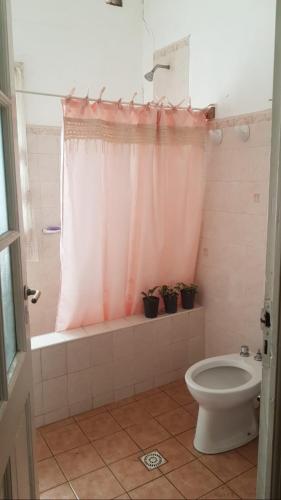 a bathroom with a toilet and a shower with potted plants at Hospedaje La Casona de los Paredones in Charbonier