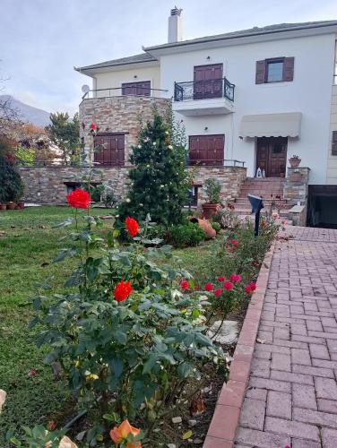 Villa Marga Luxury Retreat