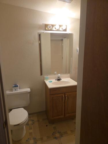 Ένα μπάνιο στο Bigfoot Motel