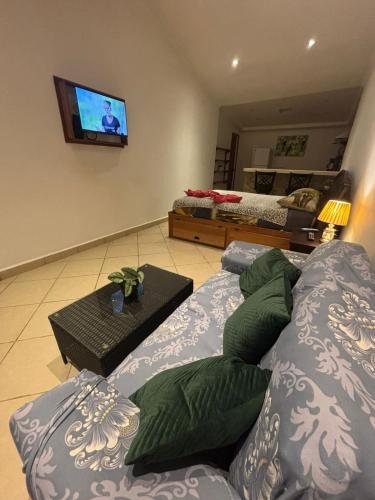 TV a/nebo společenská místnost v ubytování Vista Boquete Apartments