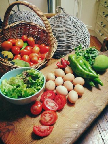 Mad på pensionatet eller i nærheden