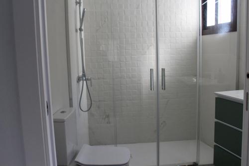 a bathroom with a glass shower with a toilet at Casa Billota in Torrox
