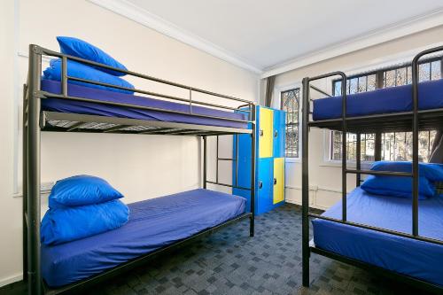 Habitación con 2 literas y almohadas azules. en Secret Garden Backpackers, Sydney, en Sídney