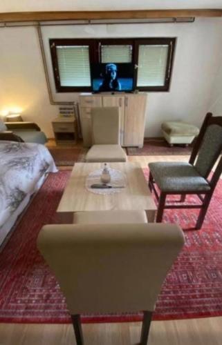 TV a/nebo společenská místnost v ubytování Apartman Benjamin