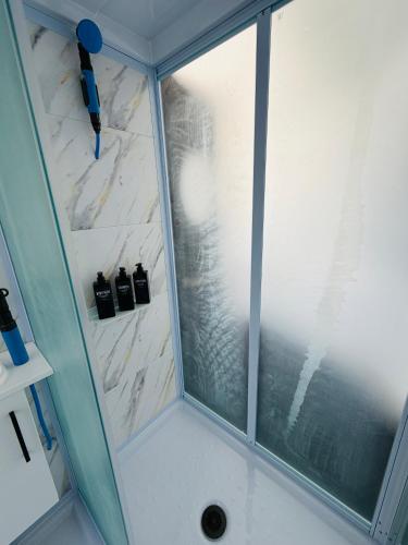 a shower with a glass door in a bathroom at Dome on Leccino in Mangonui