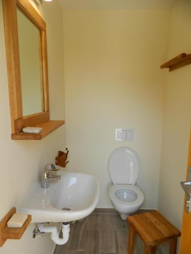 a bathroom with a sink and a toilet at Glamping Organic Farm Slibar in Tržič