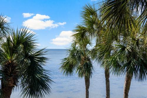 Sandestin Bayfront Studio with balcony and breathtaking views photo 42