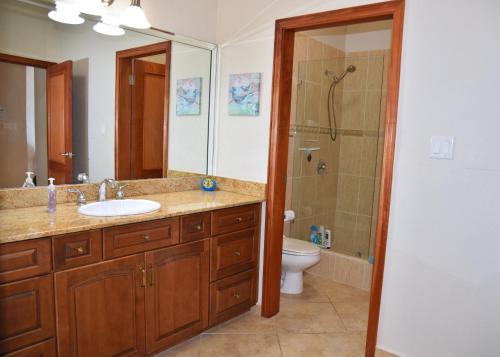 Un baño con lavabo, ducha e inodoro. en Oceanfront Paradise: Penthouse with Peloton, en Lowlands