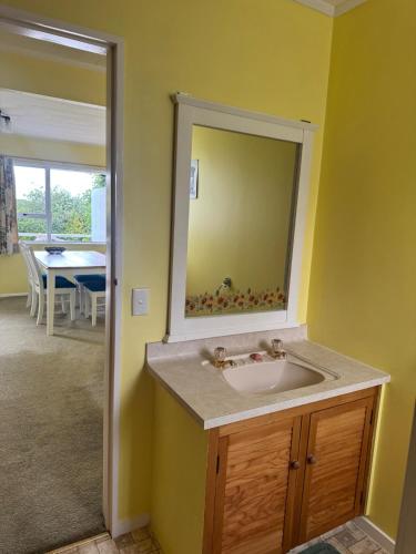 a bathroom with a sink and a mirror at Buena Vista in Geraldine