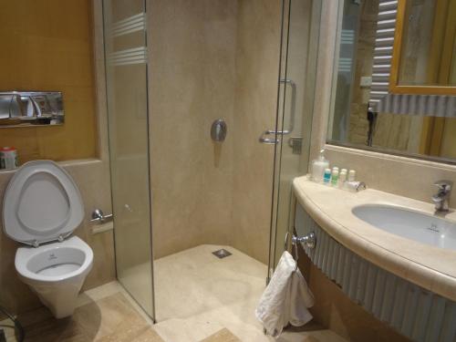 a bathroom with a shower and a toilet and a sink at Ascot Hotel in Mumbai