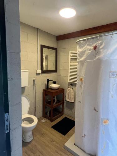 a bathroom with a toilet and a sink at Altos de Arenas in Miramar